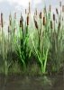 RT-Diorama 35400 Cattail Grass 1/35